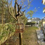 Moradia T4 São Pedro do Estoril