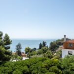 Ar puro e qualidade de vida…