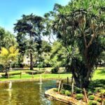 photo4jpg - OR Properties