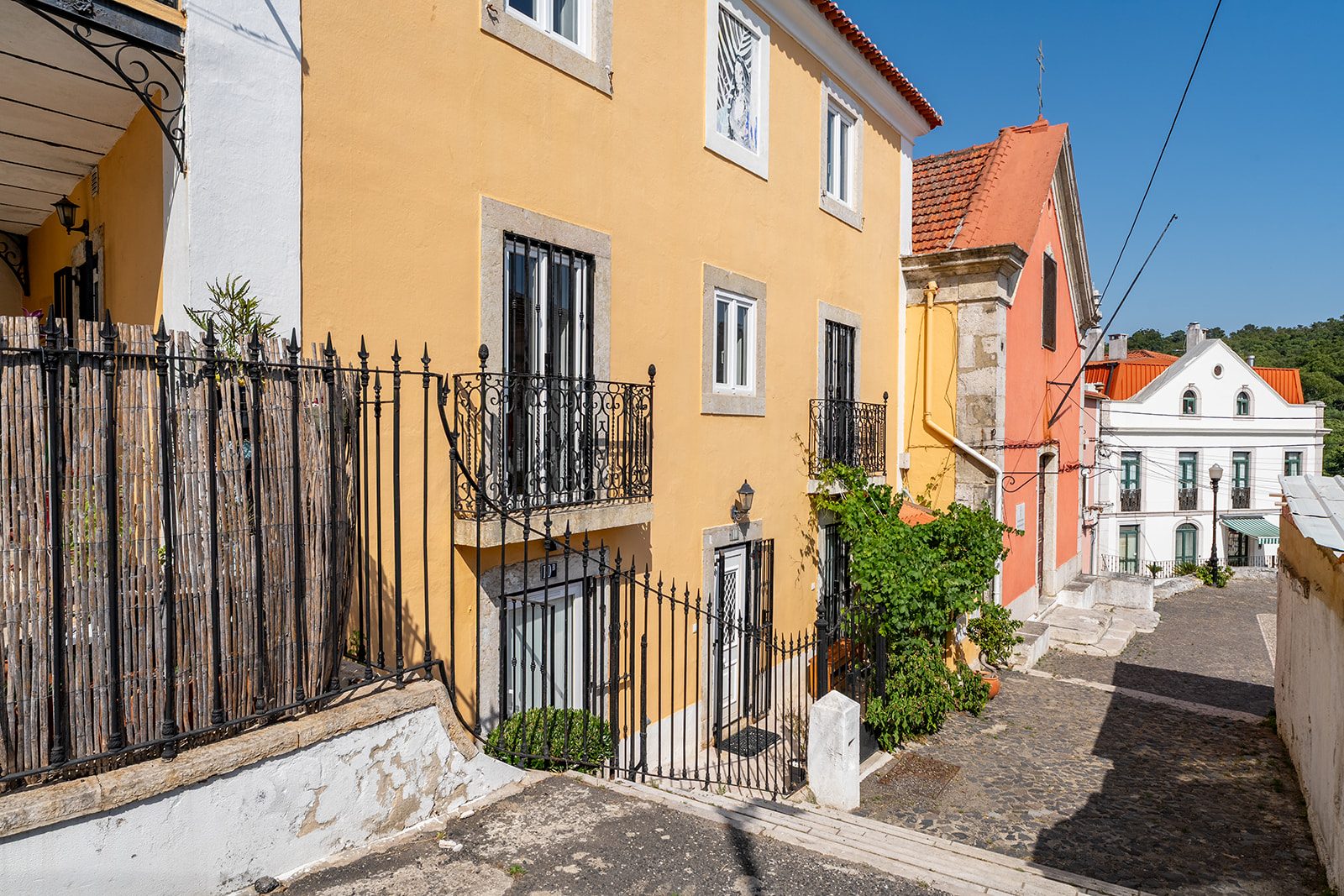 Sec. XIX | Renovado | Benfica