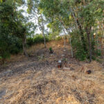 T5 | 2631m² | Cotovia, Sesimbra